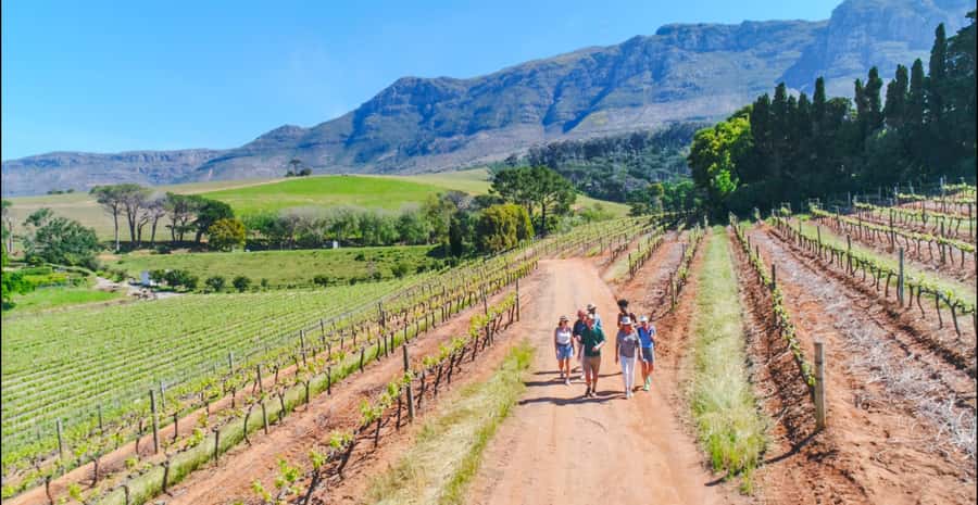 Constantia: Wine Walk with Lunch and Enchanting Stories - Groot Constantia, where the valley’s story begins