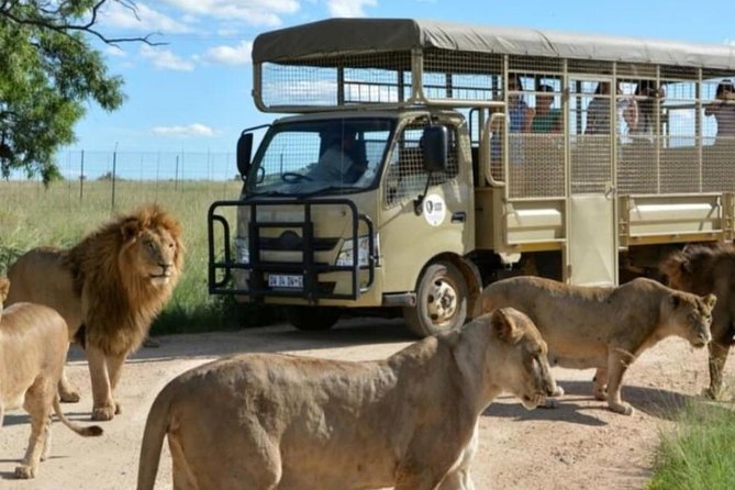 Cradle of Human Kind & Lion & Rhino Park Tour Full day Tour Private - Why the Cradle of Humankind Matters