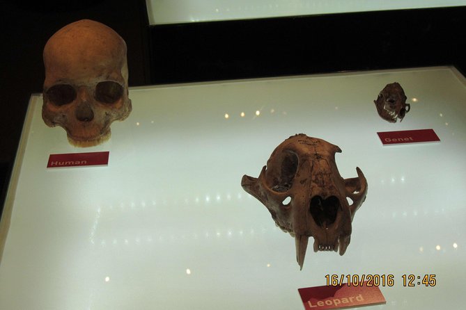 Cradle of Human Kind Tour and Lesedi Cultural Village Day Tour - Timing, comfort, and what to pack