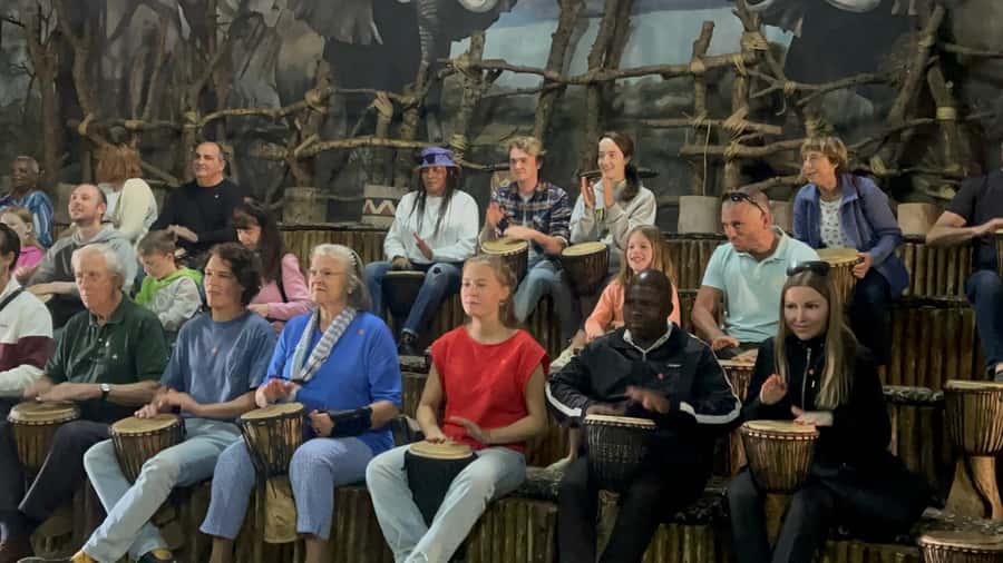 Cradle of Humankind and Lesedi Cultural Village - The dancing is the afternoon highlight
