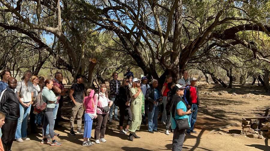 Cradle of Humankind and Lesedi Cultural Village - Is $202 a fair price?