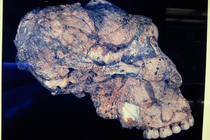 Cradle of Humankind and Maropeng Day Tour from Johannesburg - How the small-group format affects the day
