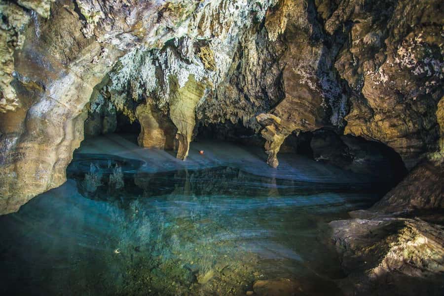 Cradle of Humankind and Sterkfontein Caves Half-Day Tour - Lunch is the biggest detail to clarify