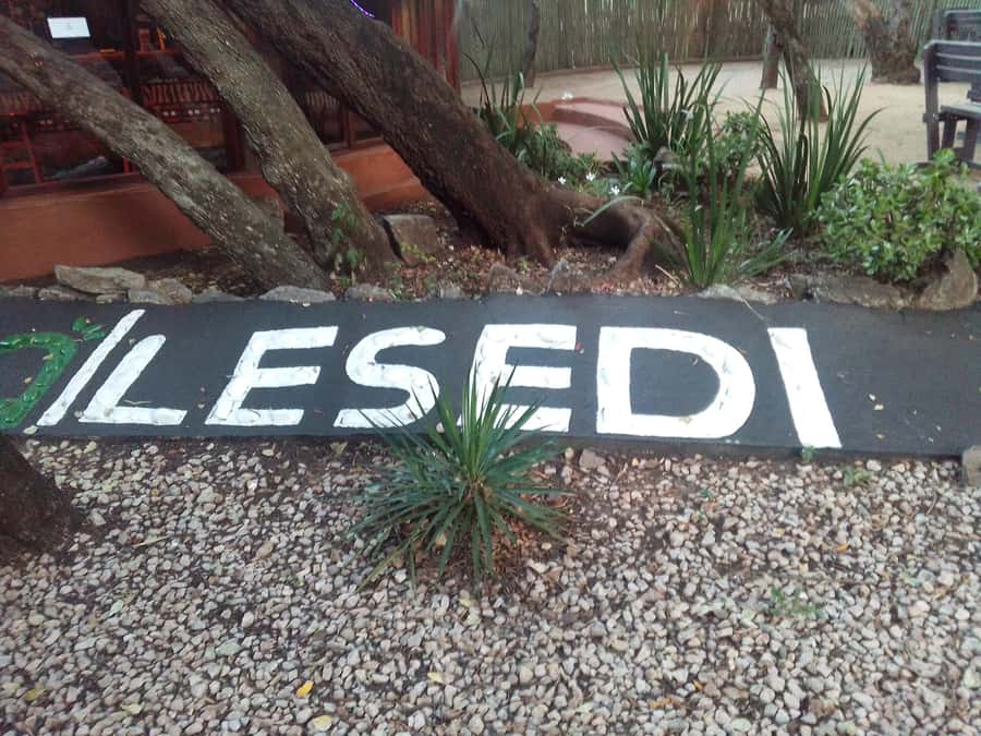 Cradle Of Humankind, Lesedi Cultural Village & Lion's Park - A big Gauteng day with three very different faces