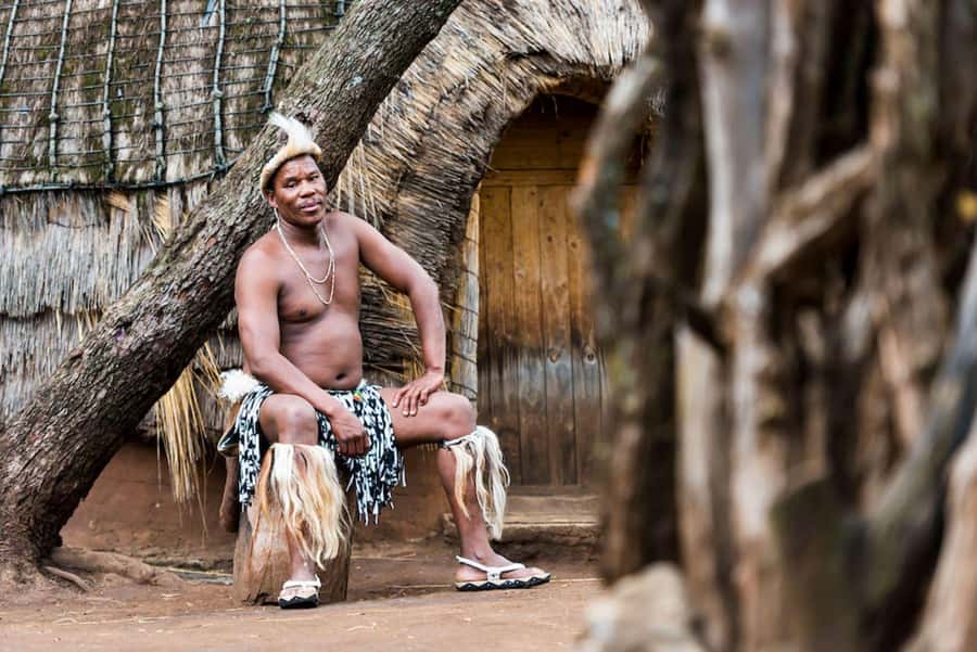 Cradle Of Humankind, Lesedi Cultural Village & Lion's Park - The Lion & Safari Park finish