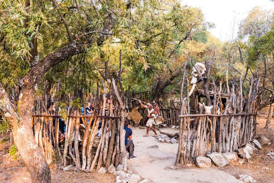 Cradle Of Humankind, Lesedi Cultural Village & Lion's Park - How the $246 price works for you
