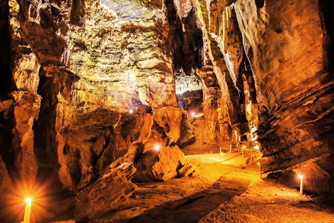 Cradle of Humankind Tour - Sterkfontein Caves with Maropeng Tour - The essential points at a glance