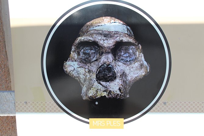 Cradle of Humankind Tour - Sterkfontein Caves with Maropeng Tour - Practical advice before you book