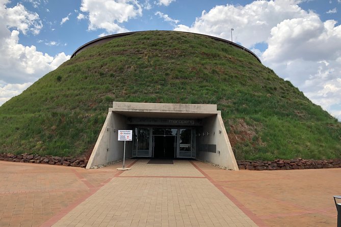 Cradle of Humankind Tour with Lion Safari from Johannesburg - Is the Lion Safari and Cradle tour worth booking?