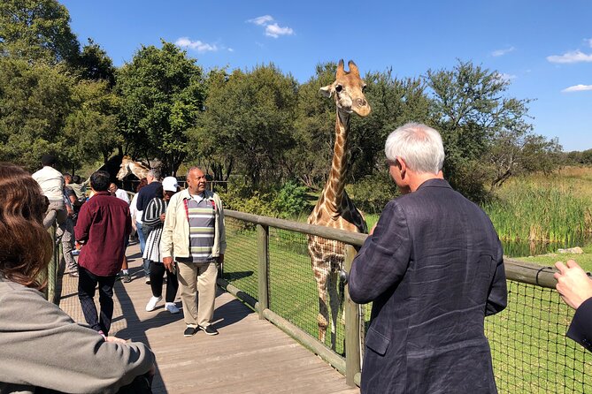 Cradle of Humankind Tour with Lion Safari from Johannesburg - The 7:30 am pickup and the road west