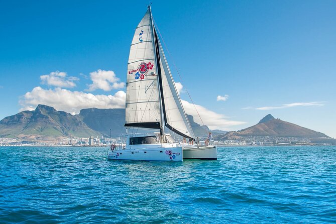 Cruise and Dine Dinner / Cape Town: Sunset Champagne Cruise and 3-Course Dinner - Why this Cape Town pairing works