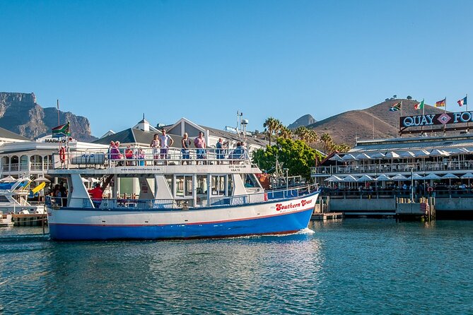 Cruise and Dine Dinner / Cape Town: Sunset Champagne Cruise and 3-Course Dinner - Marine life and coastal views
