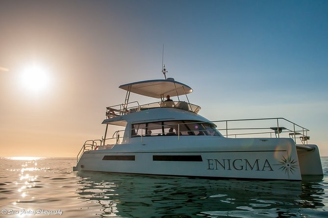 Cruise and Dine Dinner / Cape Town: Sunset Champagne Cruise and 3-Course Dinner - Ninety minutes on the Atlantic