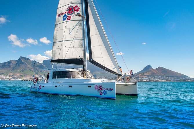 Cruise and Dine Lunch / Cape Town: Coastal Motor Cruise and 2-Course Lunch - Who will enjoy this cruise and lunch?