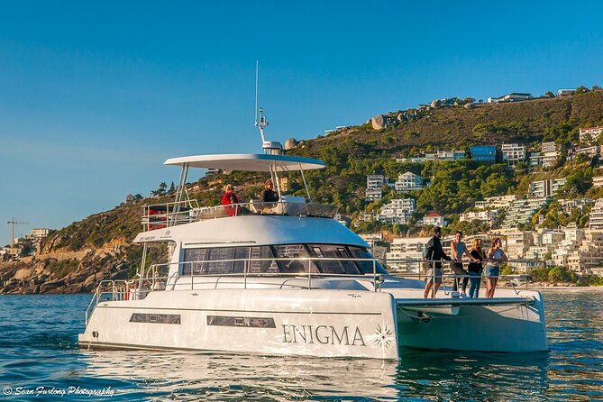 Cruise and Dine Lunch / Cape Town: Coastal Motor Cruise and 2-Course Lunch - Table Mountain, waves, and possible whale sightings