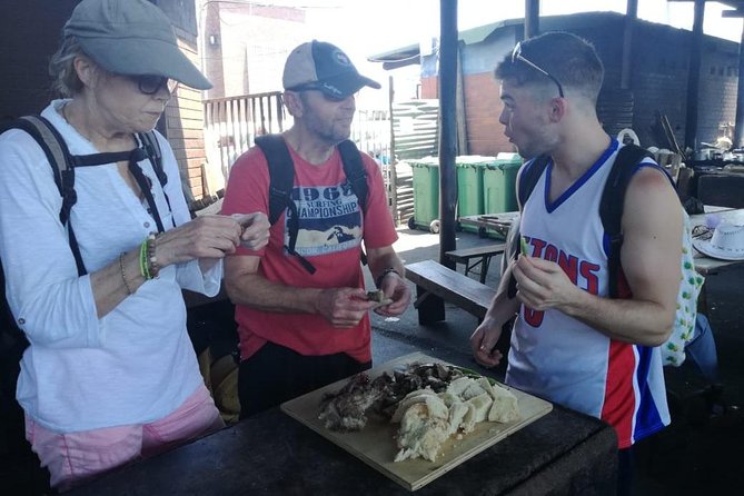 Culture Walking Tour of Durban - Using local minibus transport instead of a tour coach