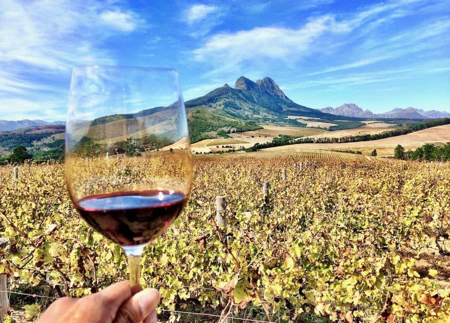 CUSTOMISED PRIVATE WINE TOUR WITH LUNCH - CAPE TOWN - Kanonkop and the case for Pinotage