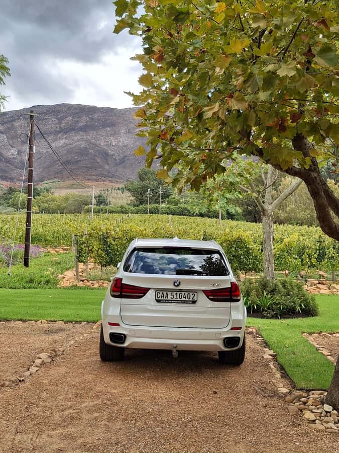 CUSTOMISED PRIVATE WINE TOUR WITH LUNCH - CAPE TOWN - What the $124 price really covers
