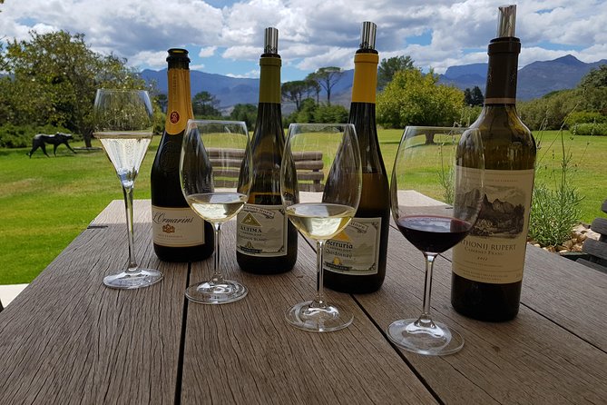 Customized Private Wine Tour - What the $158.73 price really buys
