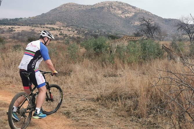Cycling The Cradle of Humankind in Game Reserve - Pickup at 8:00 am keeps the morning simple