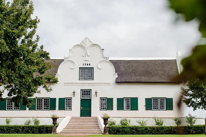 Daily Different small group WINE tour - CAPE TOWN PICKUP - Cellars, barrels, and the harvest season