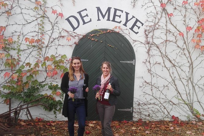 Daily Different small group WINE tour - STELLENBOSCH PICKUP only - The guide is the heart of the experience
