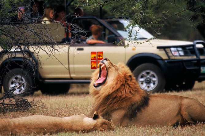 Daily Pilanesberg National Park Private Shuttle Services - What this Pilanesberg and Sun City transfer really is