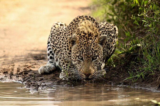 Daily Pilanesberg National Park Private Shuttle Services - The route from Gauteng to Rustenburg