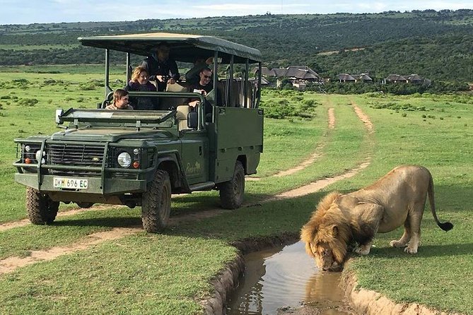 Day Safari at Pumba Private Game Reserve - Arriving at Pumba for the 9:30 am welcome