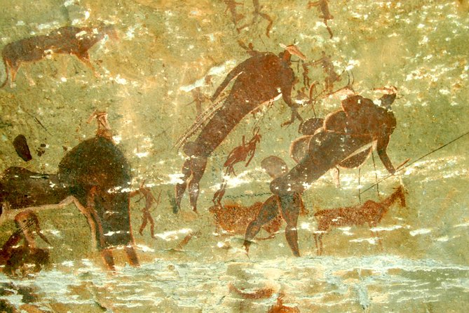 Drakensberg Giant's Castle Cave Art & Mandela Capture Site Tour from Durban - Howick Falls and the final stop