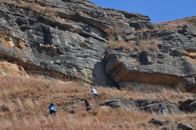 Drakensberg Kamberg Rock Art & Mandela Capture Site Day Tour from Durban - What the $200.10 price includes