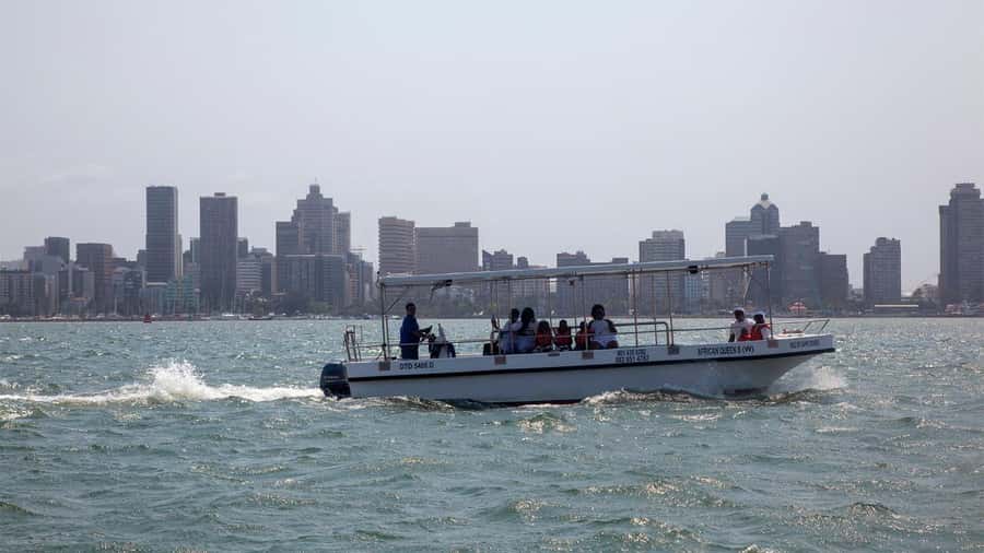 Durban: 1-Hour Boat Cruise from Wilson's Wharf - Key points to know before you book