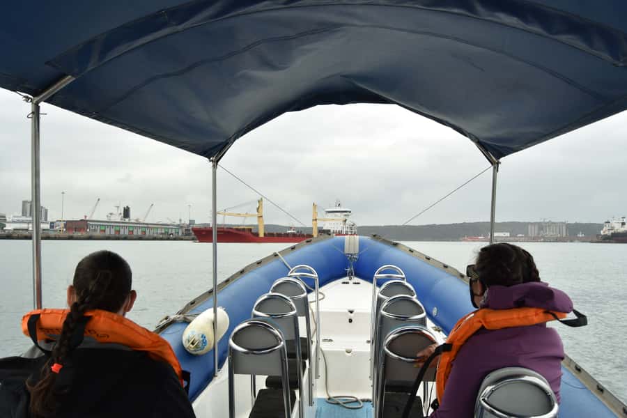 Durban: 1-Hour Boat Cruise from Wilson's Wharf - Is one hour worth about $11?
