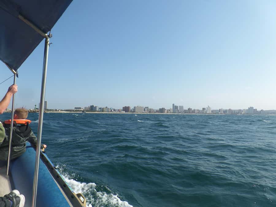Durban: 1-Hour Boat Cruise from Wilson's Wharf - Watching Durban’s port at work
