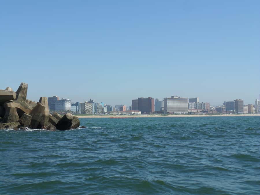 Durban: 1-Hour Boat Cruise from Wilson's Wharf - Harbor water or open ocean