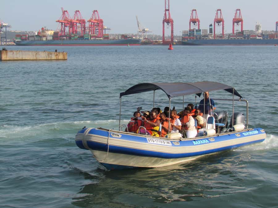 Durban: 1-Hour Boat Cruise from Wilson's Wharf - Food, comfort, and what to bring