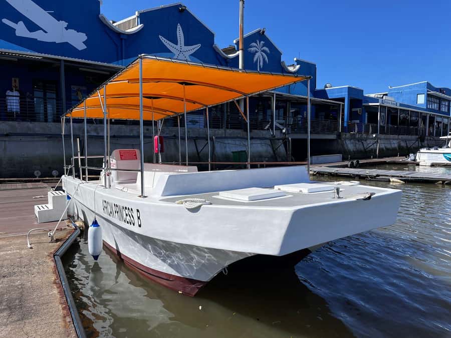 Durban: 30-Minute Harbor Boat Cruise - Families, couples, and solo visitors