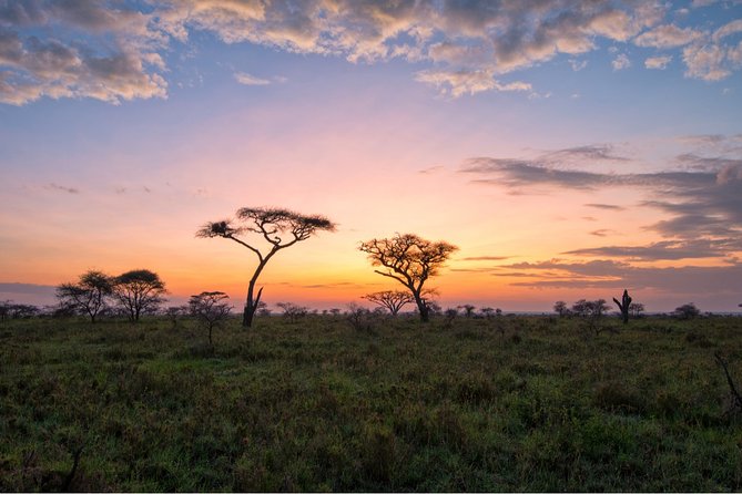 Durban: Big 5 Safari - Open Safari Vehicle at Exclusive Reserve - Why the early departure is worth it
