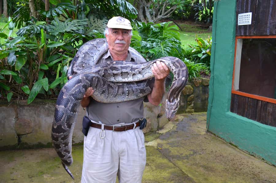 Durban: City & PheZulu Cultural Village Tour - Crocodiles, snakes, and Cleo the python
