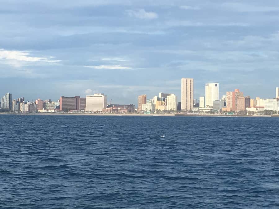 Durban: Durban: Whale and Dolphin Watching Boat Tour - How the small boat changes the experience