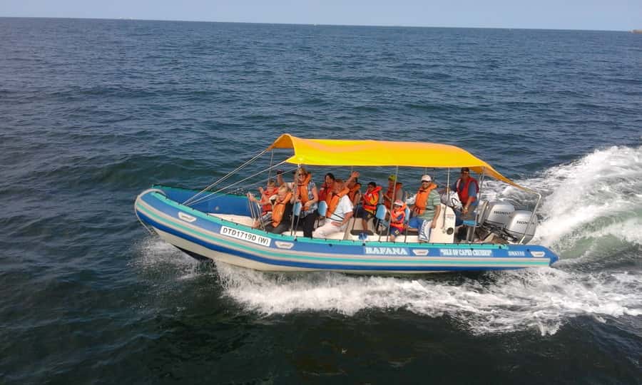 Durban: Durban: Whale and Dolphin Watching Boat Tour - Setting out into the Indian Ocean