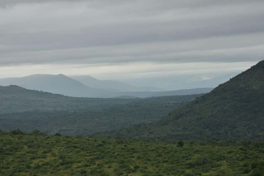 Durban: Full Day Hluhluwe-iMfolozi Game Reserve with lunch - What $280 includes, and what it does not