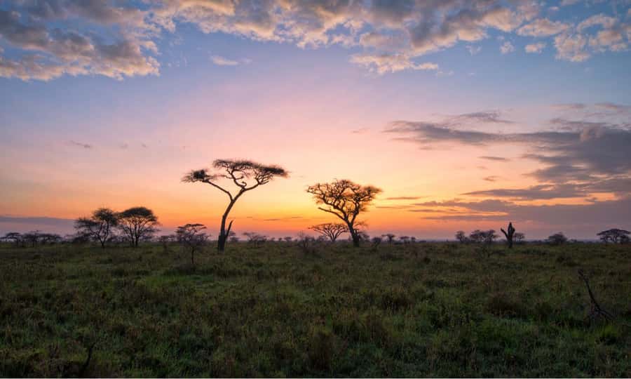 Durban: Hluhluwe Big 5 Safari with Pro Zeiss Binoculars - Afternoon drive through Hluhluwe