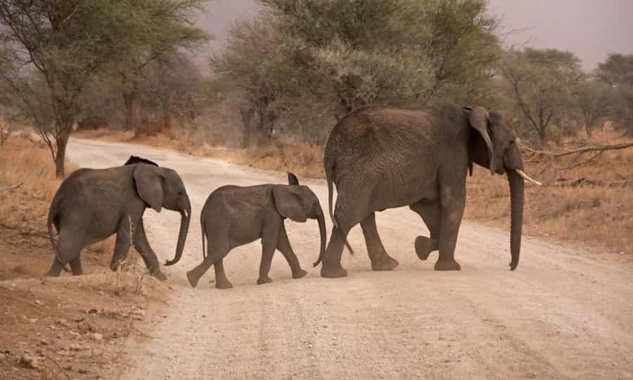 Durban: Hluhluwe Big 5 Safari with Pro Zeiss Binoculars - The long ride back to Durban