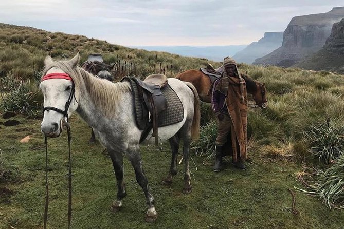 Durban: Journey along the Epic Sani Pass & Lesotho Tour - Why Sani Pass Is Worth a Full Day from Durban