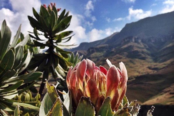 Durban: Journey along the Epic Sani Pass & Lesotho Tour - Lunch at Africa’s Highest Pub