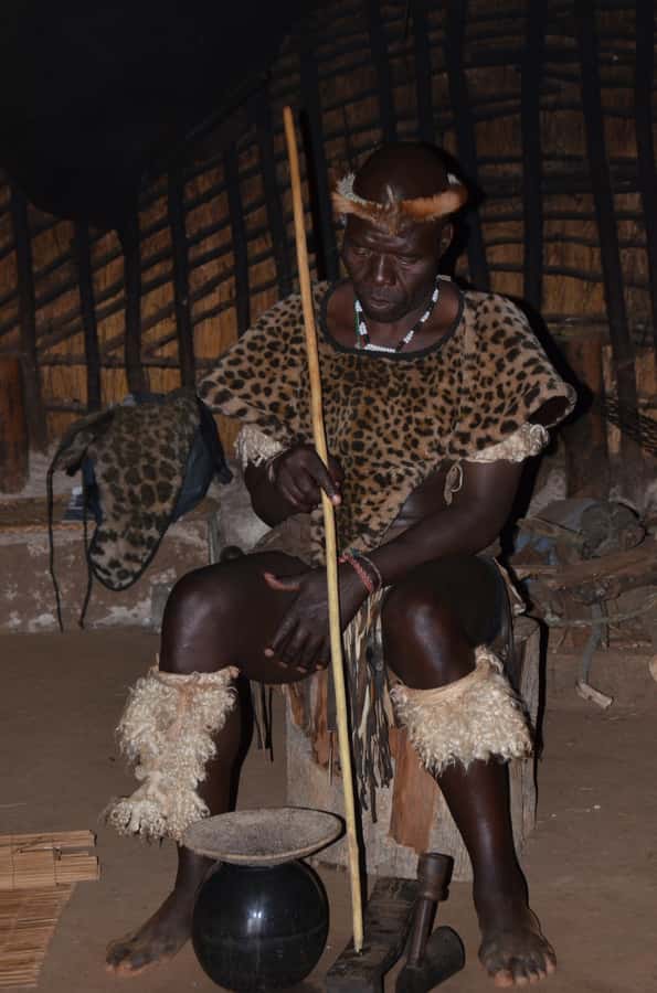 Durban: Phezulu Cultural Village & Reptile Park Tour - Port Pickup and Four-Hour Timing