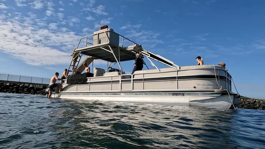 Durban: Pontoon Boat Harbor Cruise - Comfort, waves, and the life-jacket question