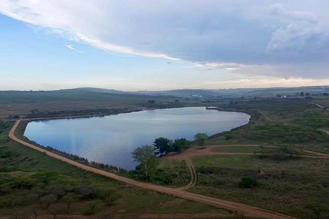 Durban Shore Excursion: Private Small Group Tala Game Reserve - A two-hour safari through Tala’s bush and wetlands
