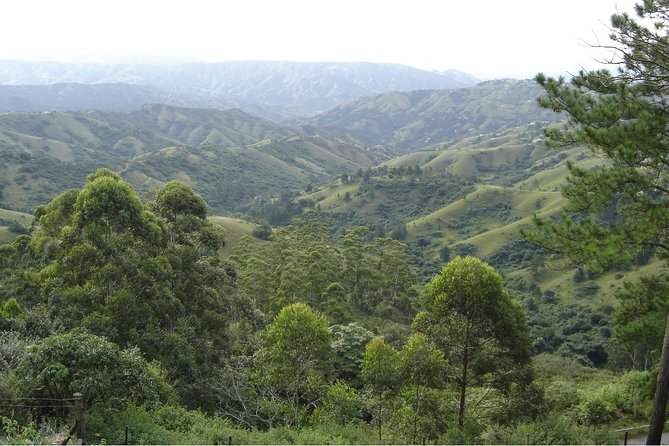 Durban Shore Excursion: Valley of 1000 Hills and PheZulu Tour - The crocodile and snake park